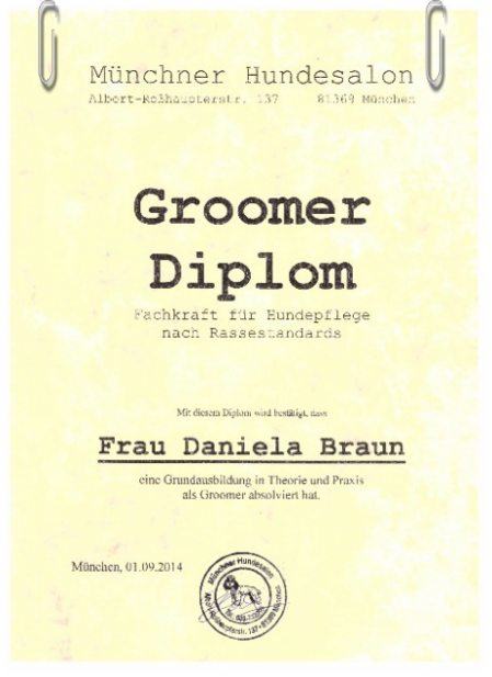 Groomer Diplom